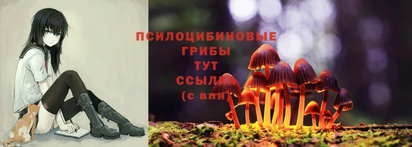спайс Алексин