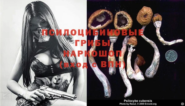 спайс Алексин