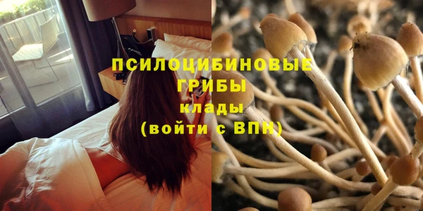 спайс Алексин