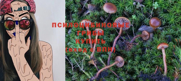 спайс Алексин