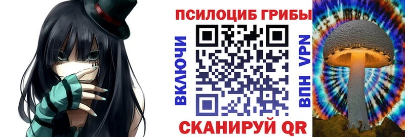 Псилоцибиновые грибы Psilocybine cubensis Боровичи