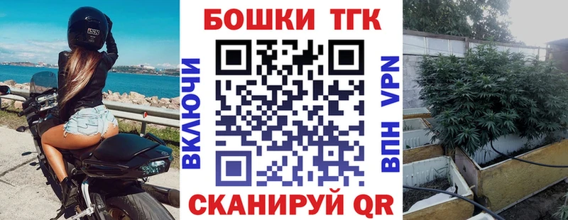 купить наркотик  Боровичи  Канабис сатива 